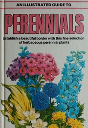 Perennials (Noel Prockter)