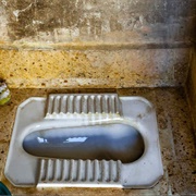 Used a Squat Toilet