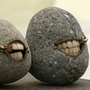 Pet Rocks