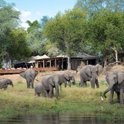 Mana Pools National Park, Zimbabwe