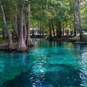Florida's Natural Springs