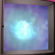 Quantum Singularity Lifeform