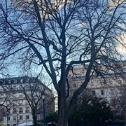 Square of Saint-Jacques Tower, Paris