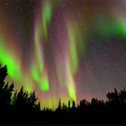 Wood Buffalo National Park