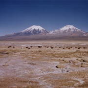 Altiplano (Argentina, Chile, Bolivia, Peru)