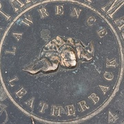 Ocean Parkway Malls Marine Life Plaques