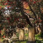 St. John's Cemetery