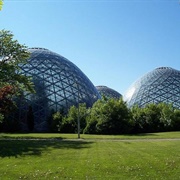 Mitchell Park Domes