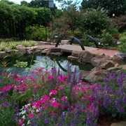 Lester & Mary Cann Memorial Botanical Gardens, Oklahoma