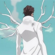 300. Urahara Appears! Stop Aizen!