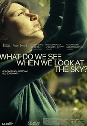 What Do We See When We Look at the Sky? (2021)