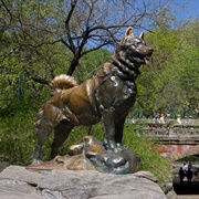 Balto, Central Park