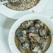 European River Lamprey