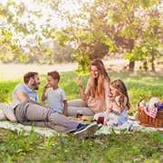 Picnic