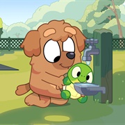 Bluey  'Turtle Boy'