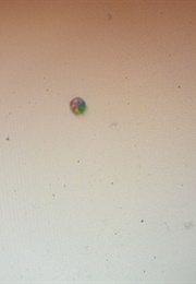 Riding Spinners (Nate Lowman) (2011)