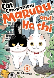 Cat Companions Maruru and Hachi (Yuri Sonoda)
