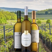 Czech Wine