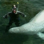 S4.E3: Marine Mammals