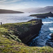 Subantarctic Islands, Australia & New Zealand