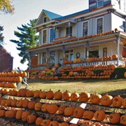 Kenova's Pumpkin House