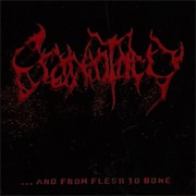 Craniotomy - ...And From Flesh to Bone