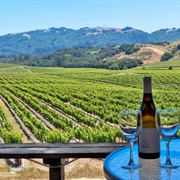 Sonoma Valley Wine