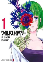 Wild Strawberry Vol 1 (Ire Yonemoto)