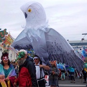 Procession of the Species