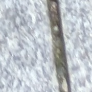 KGB Prison Cells, Tallinn