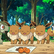 794. Mystery on a Deserted Island!