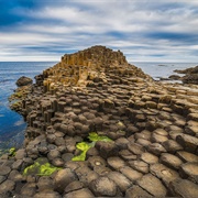 Giant's Causeway, Northern Ireland, UK