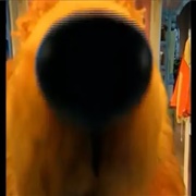 Whenever Bear in the Big Blue House Put His Nose at the Camera