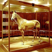 Phar Lap
