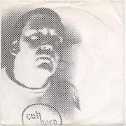 "I'm a Cult Hero"/"I Dig You" (1979)