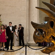 How I Met Your Mother: "Natural History" (S6,E8)