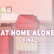 At Home Alone