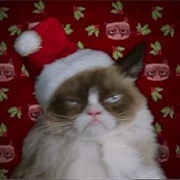 Grumpy Cat's Worst Christmas Ever
