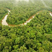 Guiana Amazonian Park, French Guiana