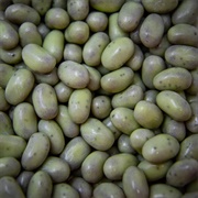 Jelly Belly Chocolate Mint