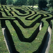 Hampton Court Maze
