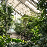 Brooklyn Botanic Garden