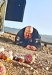 Gorillaz Feat. Mos Def & Bobby Womack: Stylo (2010)