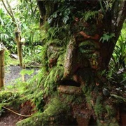 Bichacue Yath Arte & Naturaleza