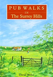 Pub Walks in the Surrey Hills (Derek Palmer)