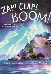 Zap! Clap! Boom! (Laura Purdie Salas)