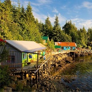 God's Pocket, Canada