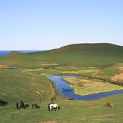 Île D'entrée (Entry Island)