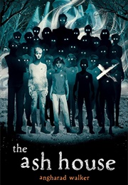 The Ash House (Angharad Walker)
