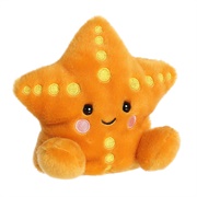 Treasure Starfish